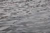 20120607_ (135)